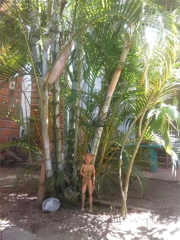 Bambu Tarapoto Hostel Buitenkant foto